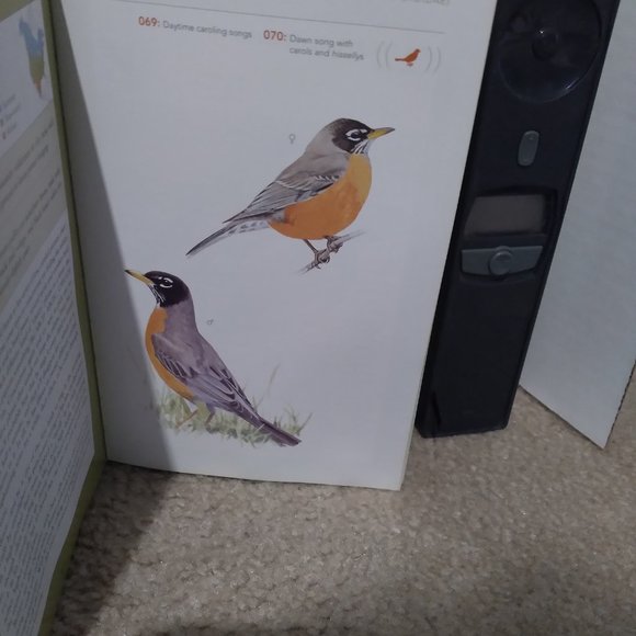 Backyard Birdsong Guide - Picture 5 of 8